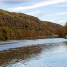 Herbst am Rhein