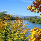 Herbst am Rhein