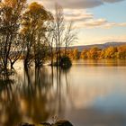 Herbst am Rhein