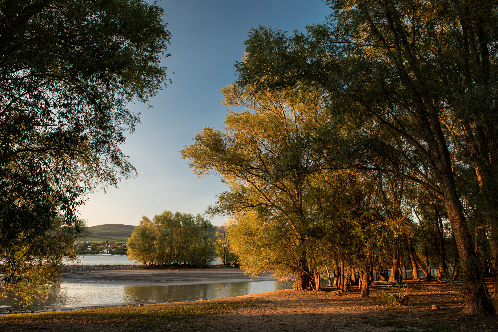 Herbst am Rhein