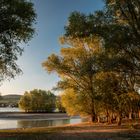 Herbst am Rhein