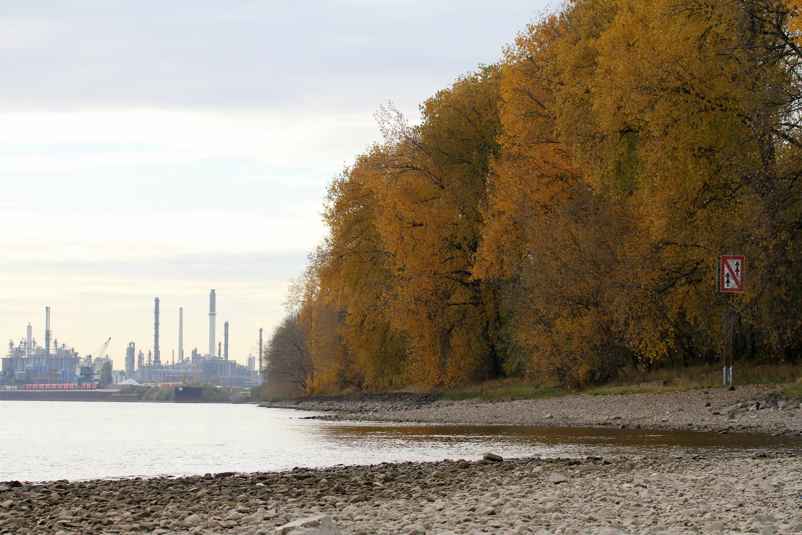 Herbst am Rhein ...