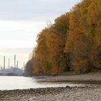 Herbst am Rhein ...