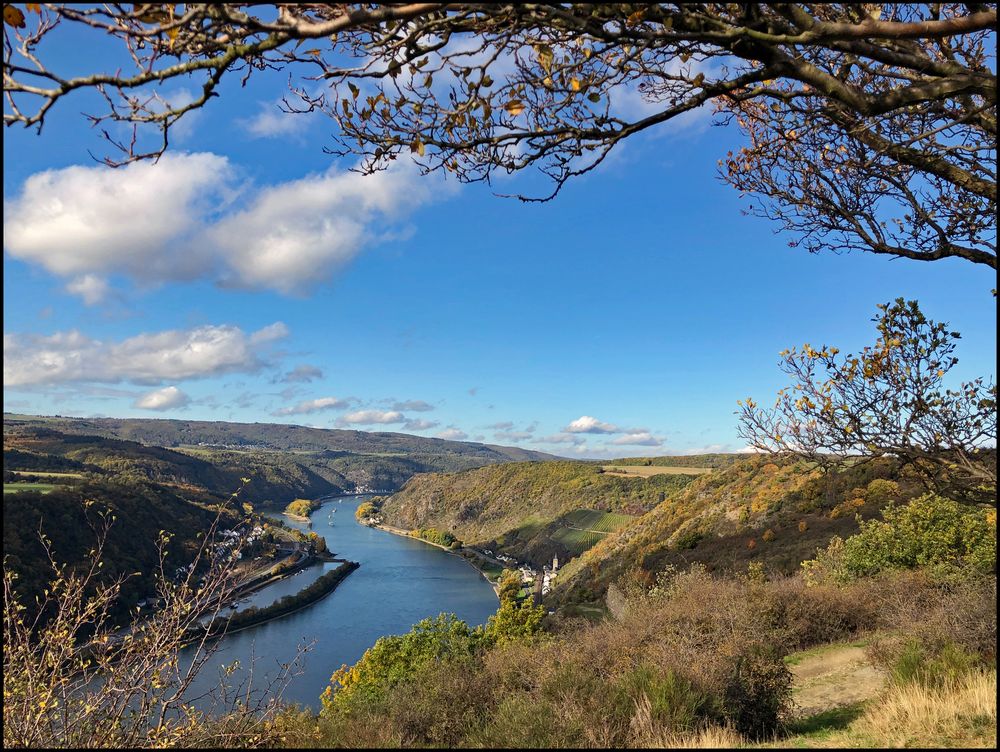 Herbst am Rhein