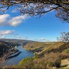 Herbst am Rhein