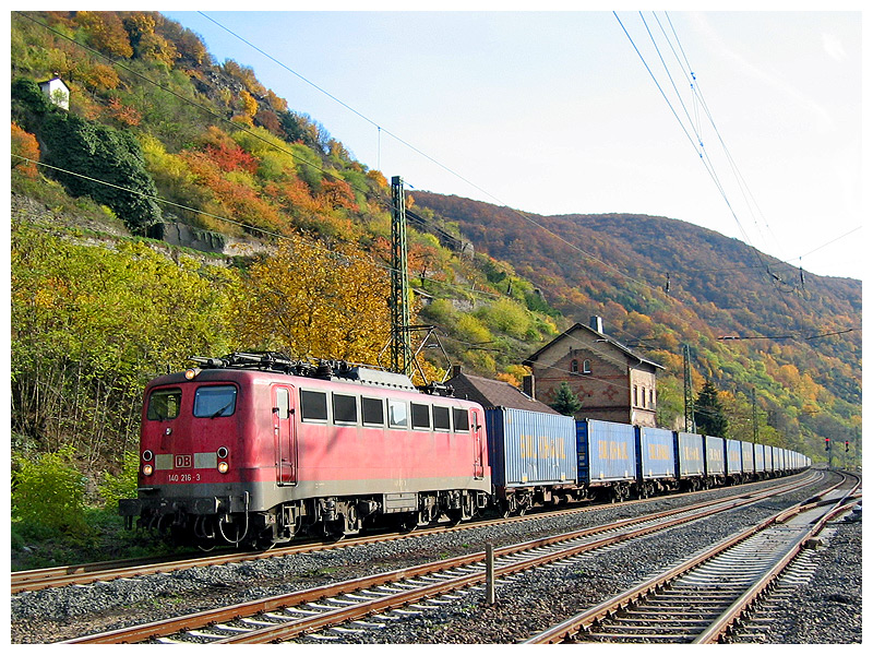 Herbst am Rhein