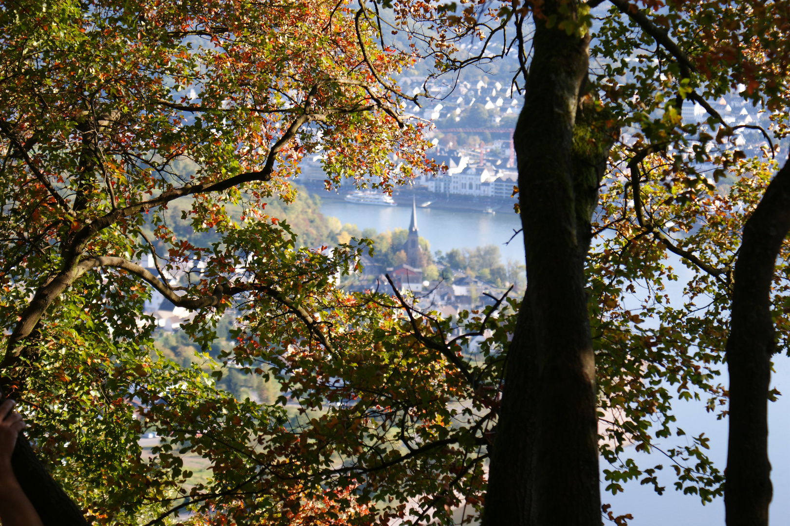 Herbst am Rhein....
