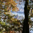 Herbst am Rhein....