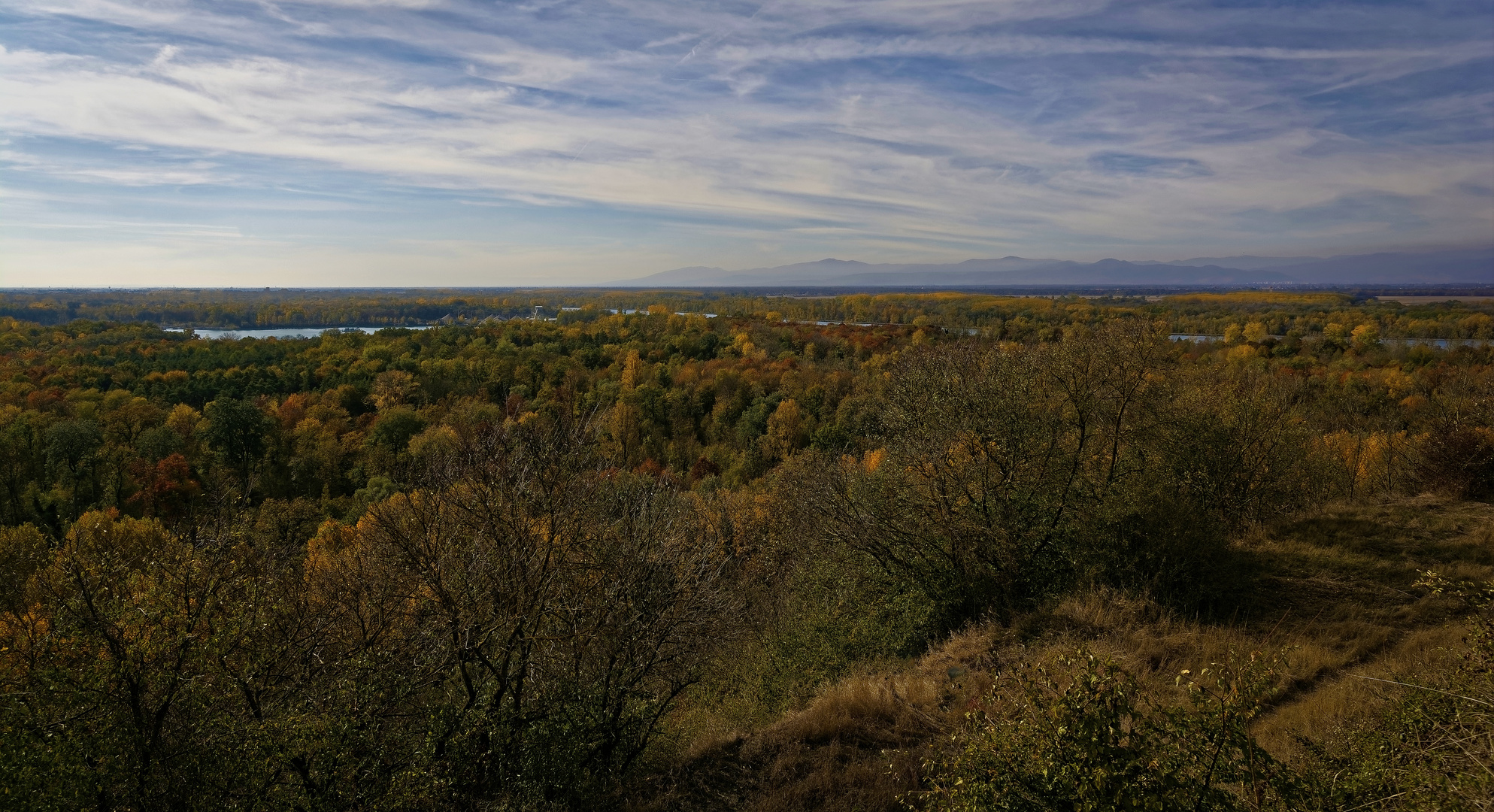 Herbst am Rhein