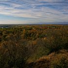 Herbst am Rhein