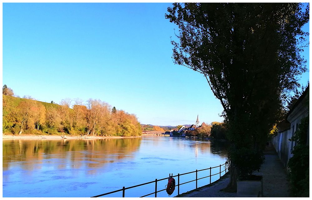 Herbst am Rhein bei Diessenhofen