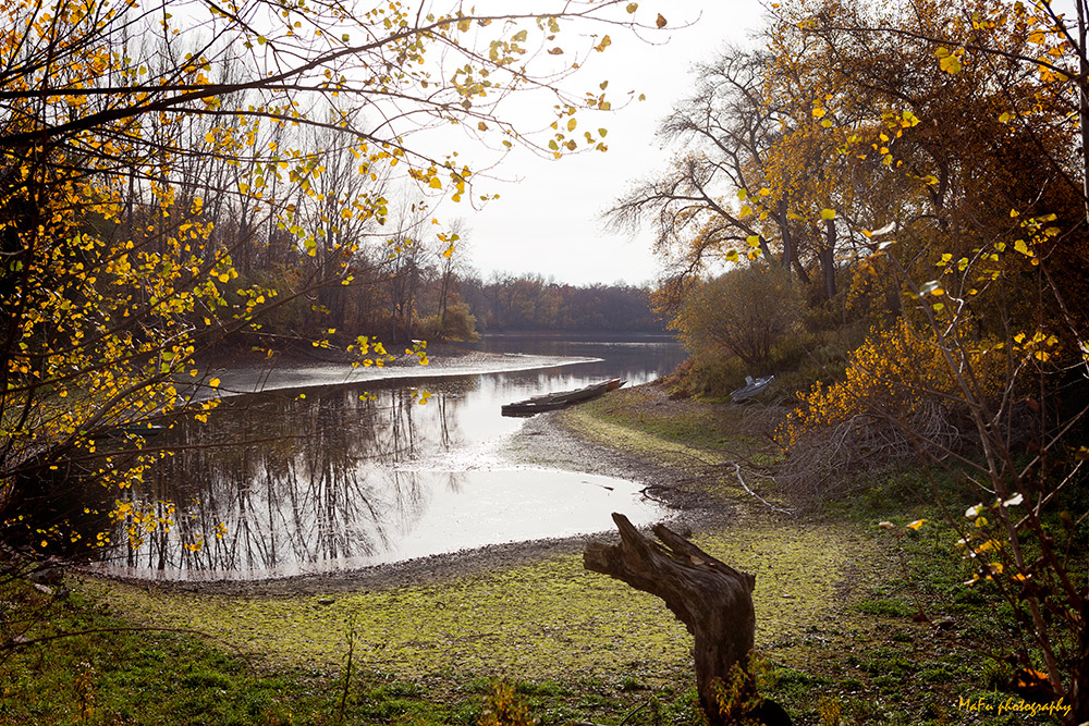 Herbst am Rhein bei Otterstadt