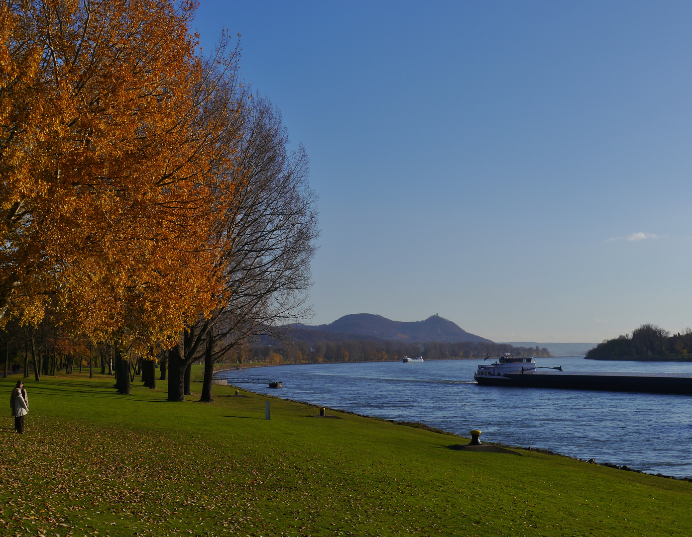 Herbst am Rhein ...