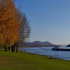 Herbst am Rhein ...