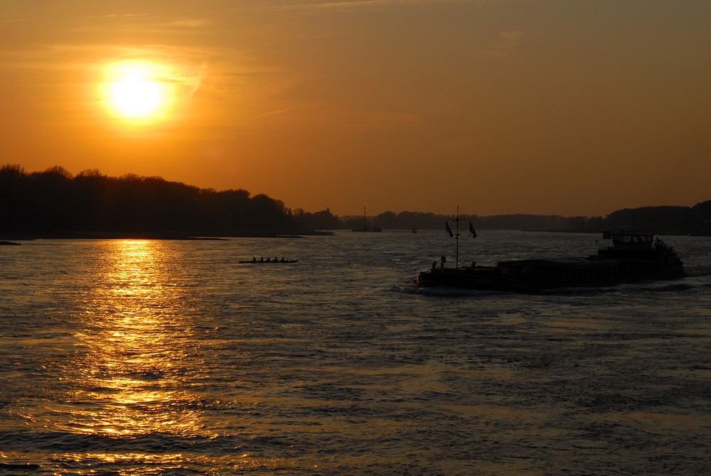 Herbst am Rhein