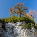 Herbst am Rhein