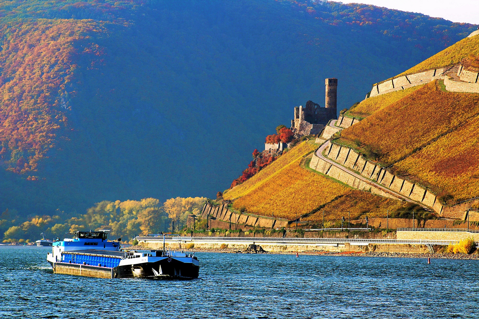 Herbst am Rhein