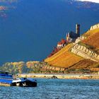 Herbst am Rhein