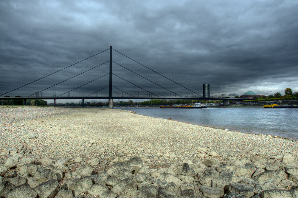 Herbst am Rhein