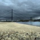 Herbst am Rhein