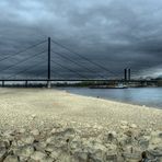 Herbst am Rhein