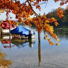 Herbst am Rhein