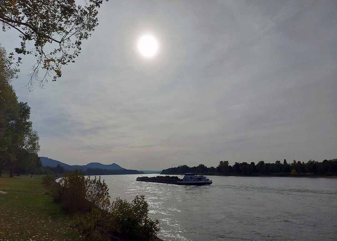 Herbst am Rhein 