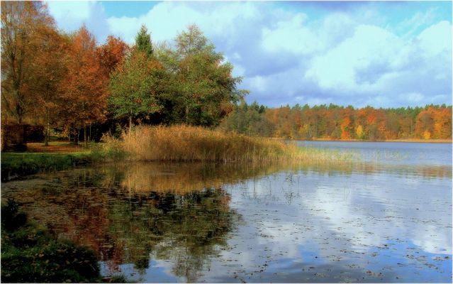 Herbst am Rheinsberger See (Brandenburg)