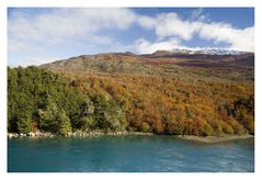 Herbst am Río Baker