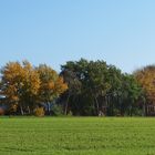 Herbst am Römerturm