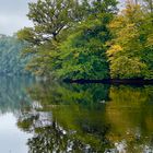  Herbst am Rösslerweiher