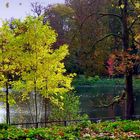 Herbst am Rombergparkteich.