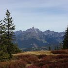 Herbst am Rossbrand mit Bischofsmütze