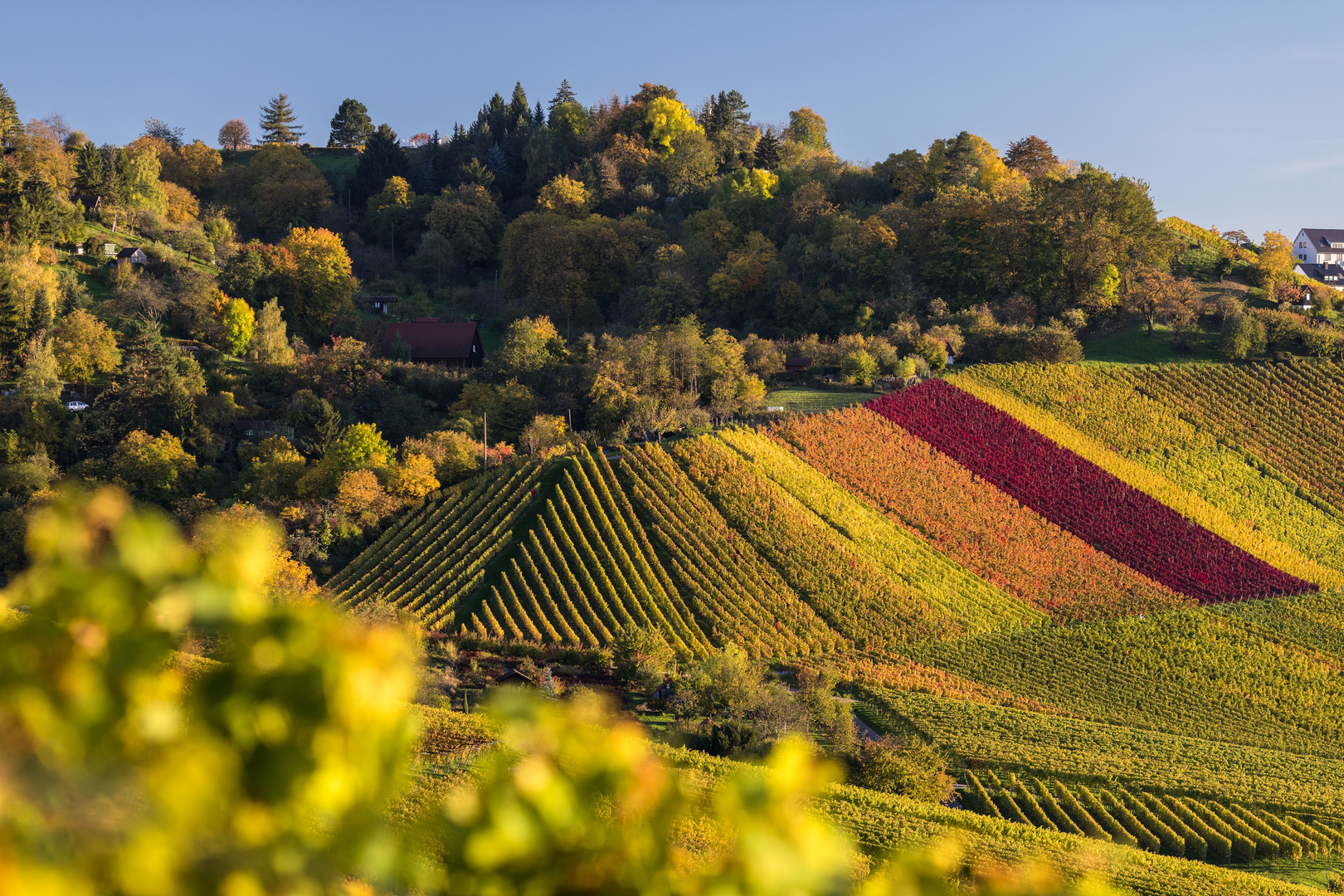 Herbst am Rotenberg