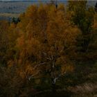 Herbst am Rreußischen Velmerstot