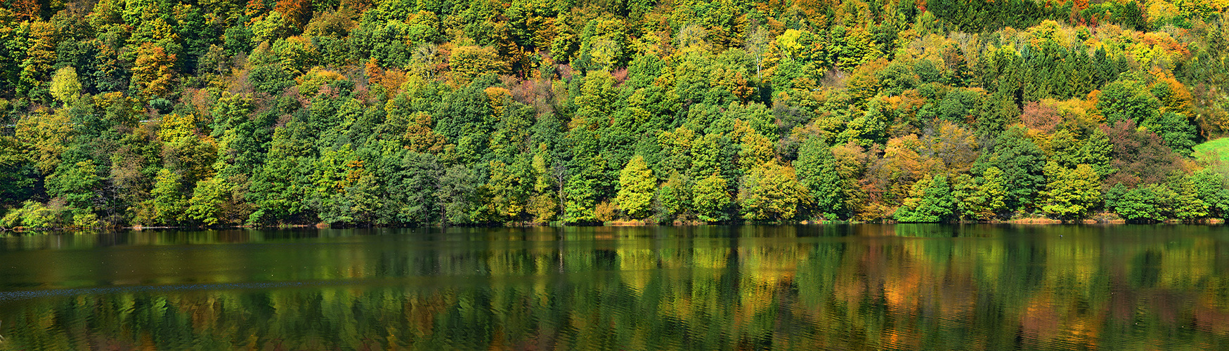 Herbst am Rursee