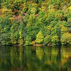 Herbst am Rursee