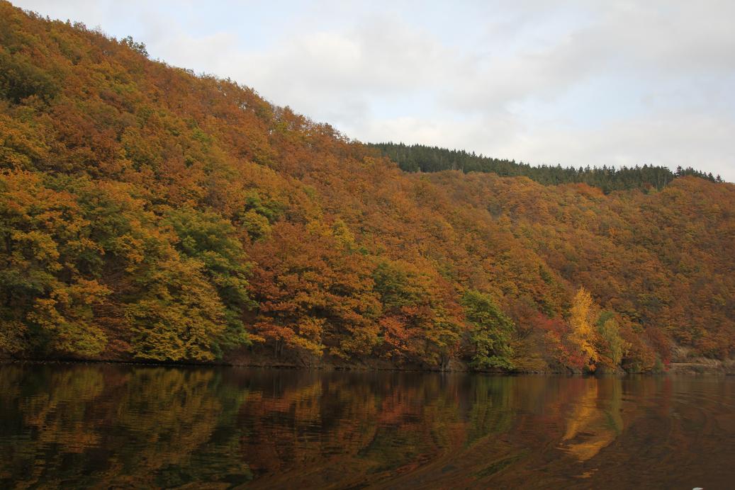 Herbst am Rursee