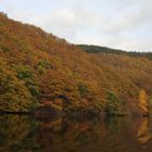 Herbst am Rursee