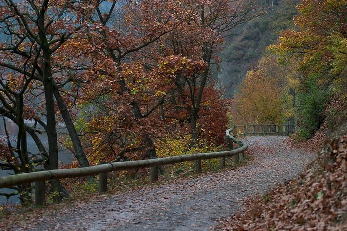 Herbst am Rursee II