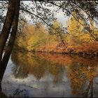 Herbst am Saar-Altarm in Saarlouis