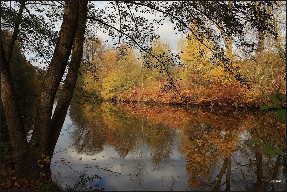 Herbst am Saar-Altarm in Saarlouis