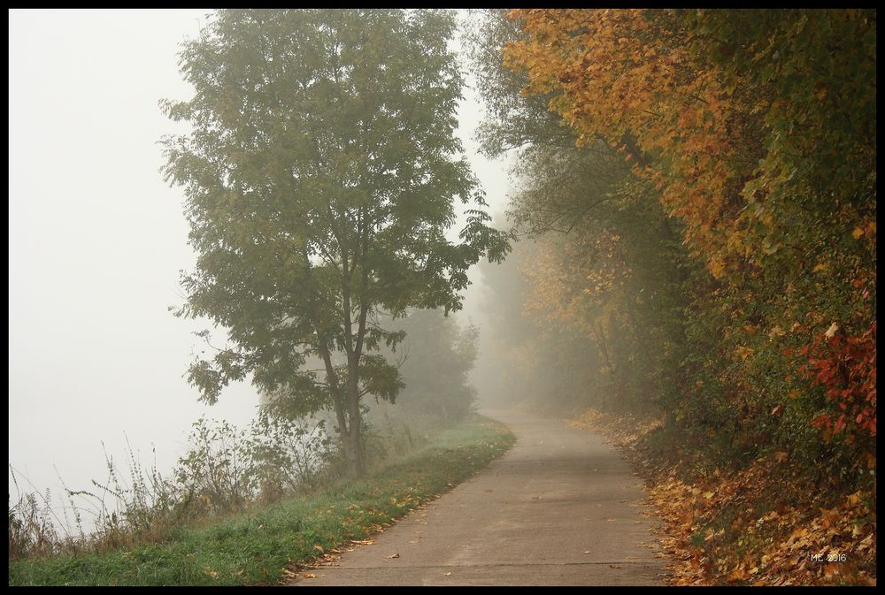 Herbst am Saaruferweg