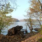 Herbst am Sacrower See