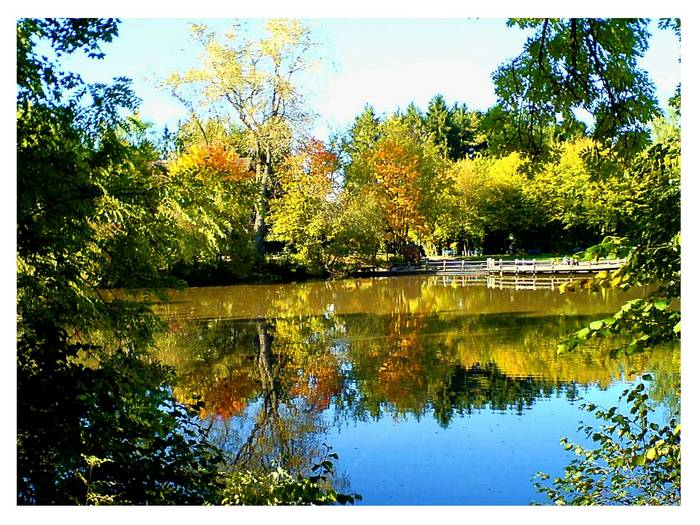 Herbst am Salinensee