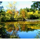 Herbst am Salinensee