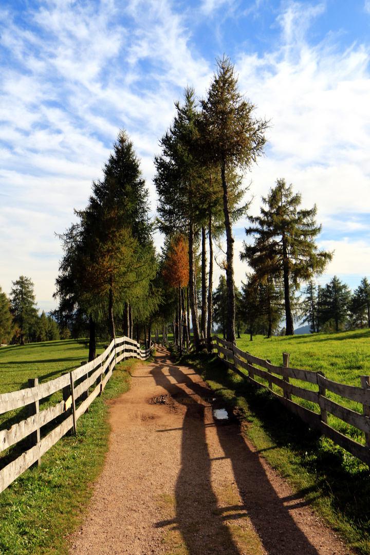 Herbst am Salten