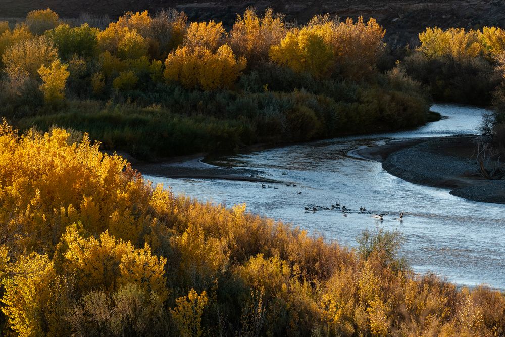 Herbst am San Juan River