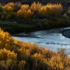 Herbst am San Juan River