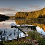 Herbst am Sawicasee